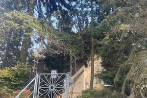BAD SCHMIEDEBERG * GROSSES GRUNDSTÜCK mit EINFAMILIENHAUS (sanierungsbedürftig) * leerstehend * a... – Schmiedeberger Weg 10, 6905 Korgau – Vorschaubild 1
