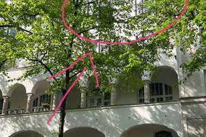 Helle Altbauwohnung mit Balkon zum Innenhof – 2 Zimmer, 76 m², München-Schwabing – Agnesstraße 12, 80798 Neuschwabing, München – Vorschaubild 5