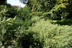 Sehr loftige Maisonette mit Terrasse zentrumsnah im Park – Zweinaundorfer Str. 55, 4318 Anger-Crottendorf, Leipzig – Vorschaubild 6
