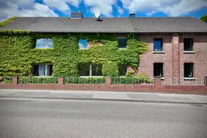 Idyllische Hofanlage mit zusätzlichem EFH in ruhiger, ländlicher Lage! – Heinsberg (Kreis) – Vorschaubild 3