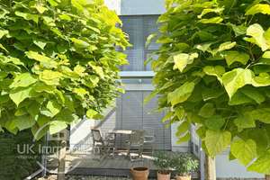 Unikat-Luxushaus mit Aufzug, Klima, Sauna, hausinterner Garage und und und – 60437 Nieder-Eschbach, Frankfurt am Main – Vorschaubild 8