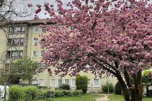 Renovierte 2-Zimmer-Wohnung im Dachgeschoss! – Heeper Straße 278b, 33607 Bielefeld – Vorschaubild 1