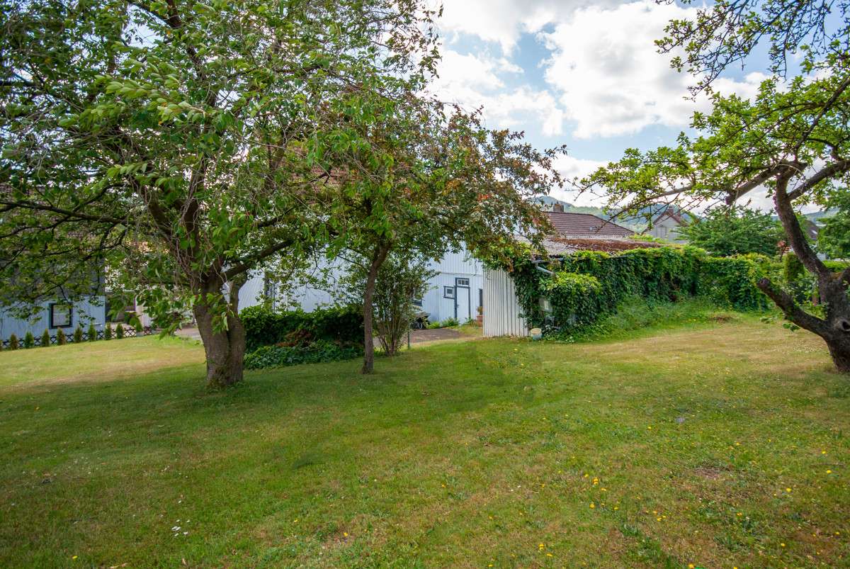 Haus im Grünen mit zusätzlichem Appartement, Goslar Kreis – Bild 2