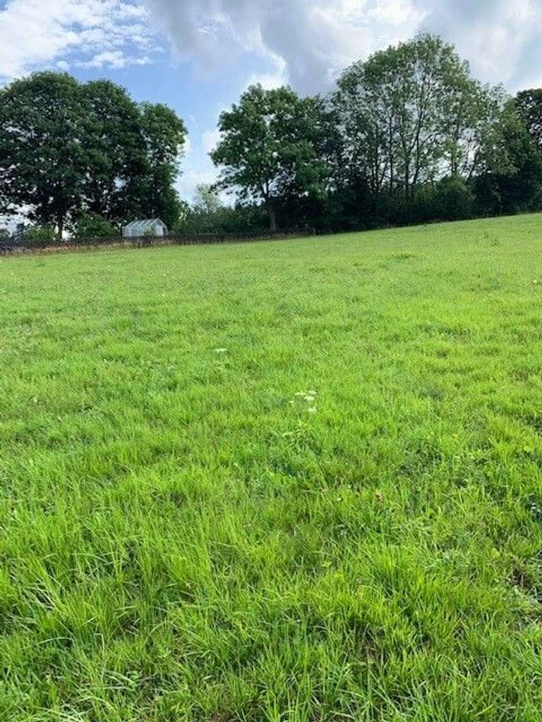 Immobilie in Schöneck/Vogtl. - FREUEN SIE SICH AUF IHR GLÜCKLICHES FAMILIENLEBEN IM EIGENEN HAUS! TEL.: 01714863595 - Bild 1