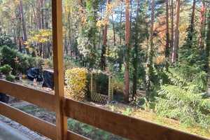 Haus im Wald am See auf Eigentum! – Waldstraße 5, 15913 Dahme-Spreewald (Kreis) – Vorschaubild 13
