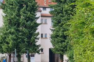 Ohne Moos nichts los – Die vollständige Adresse der Immobilie erhältst du vom Anbieter., 63739 Stadtmitte, Aschaffenburg – Vorschaubild 1