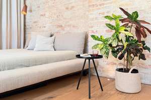 Provisionsfrei: Stilvolles, ruhig gelegenes Mikro-Loft im Winsviertel (Prenzlauer Berg) – Die vollständige Adresse der Immobilie erhältst du vom Anbieter., 10405 Prenzlauer Berg, Berlin – Vorschaubild 6