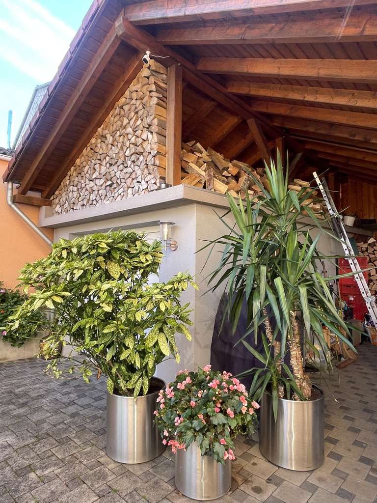 Immobilie in Clausen - Renoviertes, großzügiges Einfamilienhaus in sonniger Lage in Clausen - Bild 0