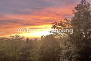 Tauschwohnung: Große und sonnige 2 ZKB mit Balkon und Blick ins Grüne – X You, 60487 Bockenheim, Frankfurt am Main – Vorschaubild 10