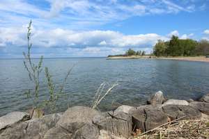 RESERVIERT! TOP Ferienimmobilie in 1A Wasserlage! Jetzt Traum vom Haus am See erfüllen! – Die vollständige Adresse der Immobilie erhältst du vom Anbieter., 17248 Rechlin – Vorschaubild 16