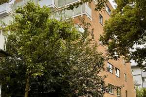 Property thumbnail 30