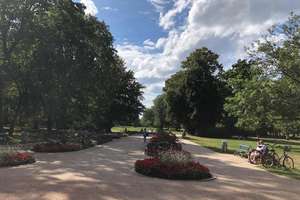 Property thumbnail 10