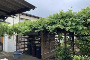 Viel Platz für Ihre Hobbys! – Baalberge, Salzlandkreis, 6406 Salzlandkreis – Vorschaubild 5