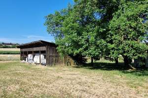 Bauernhof mit Charme und idyllischer Lage – seltene Gelegenheit – Waldstraße 19, 71254 Ditzingen – Vorschaubild 5