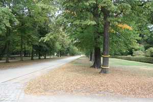 Property thumbnail 22