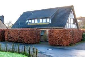 Ein- bzw. Zweifamilienhaus mit schönem Gartengrundstück – Ammerland (Kreis) – Vorschaubild 17