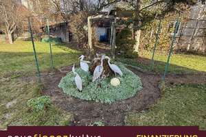 Einfamilienhaus mit separater Einliegerwohnung in Toplage von Münsingen – großes Grundstück – Uhlandstraße 6, 72525 Münsingen – Vorschaubild 19