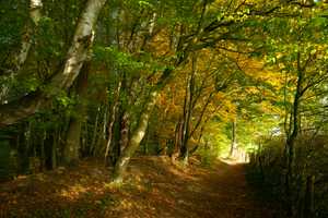 Property thumbnail 25