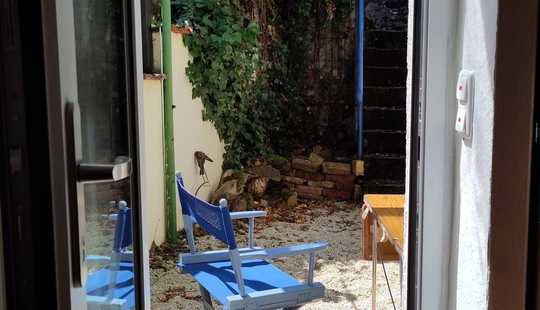 Bild von Freistehendes Einfamilienhaus privat zu verkaufen