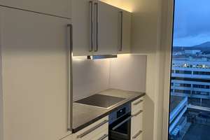 Luxuriöses Penthouse mit großer Dachterrasse und Blick über die Stadt in Stuttgart Nord  – 70191 Am Pragfriedhof, Stuttgart – Vorschaubild 9