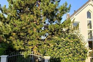 Exklusives Wohnen im Grünen - Architektur mit Weitblick – Die vollständige Adresse der Immobilie erhältst du vom Anbieter., 7751 Ilmnitz, Jena – Vorschaubild 18