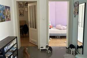 Zentrale 2,5-Zimmer Wohnung mit Einbauküche, befristet zum 30.06.2026 – Hannover – Vorschaubild 3