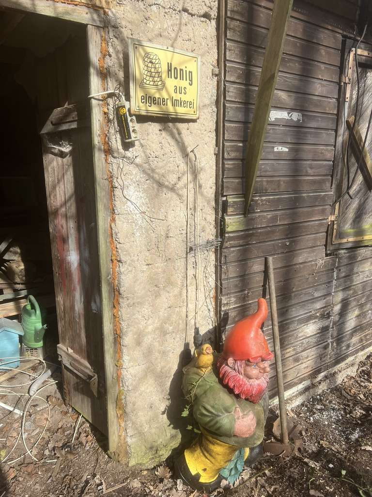 Immobilie in Bad Dürkheim - Schnäppchen für junge Familie mit handwerklichen Fähigkeiten - Bild 3