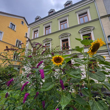 Stilvolle Dr Grosser Straubing Bilder