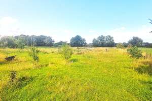 HIER IST PLATZ|PROVISIONSFREI | Großzügiger Vierseitenhof auf 8984 m² Grundstück mit viel Potential – Die vollständige Adresse der Immobilie erhältst du vom Anbieter., 16775 Löwenberger Land – Vorschaubild 14