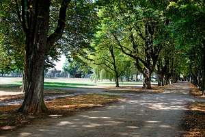 Property thumbnail 17