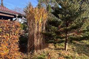 Wunderschönes Domizil in perfekter Lage Alt-Müggelheim Berlin – Berlin – Vorschaubild 24