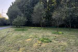Einzigartiger Hof mit historischem Charme und vielen Nutzungsmöglichkeiten in Gladbeck – Recklinghausen (Kreis) – Vorschaubild 28