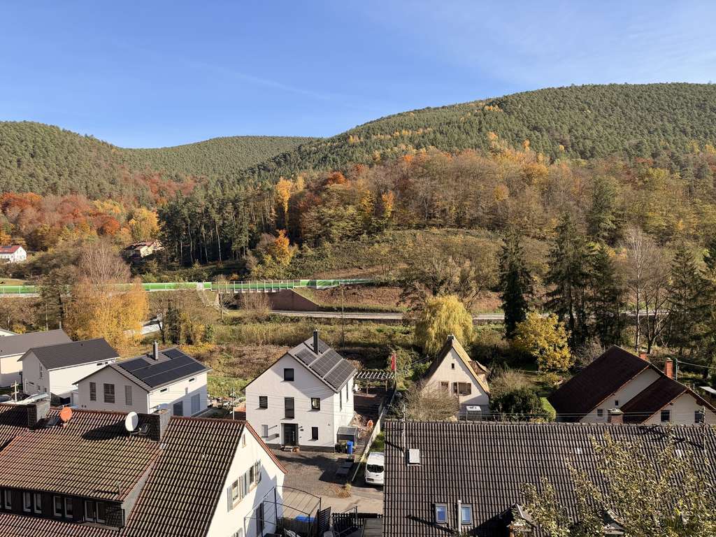 Immobilie in Frankeneck - Großzügige Eigentumswohnung im Pfälzerwald – hier schlägt Ihr Herz - Bild 1