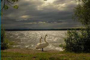 exkl. DHH in UTTING  ca. 300 m zum Ammersee – Die vollständige Adresse der Immobilie erhältst du vom Anbieter., 86191 Utting am Ammersee – Vorschaubild 41
