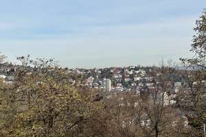 Property thumbnail 6