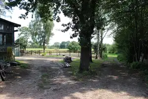 Ein Domizil in ruhiger Lage mit 3 Wohneinheiten, Pferdestall, Werkstatt und Padock – Segeberg (Kreis) – Vorschaubild 21