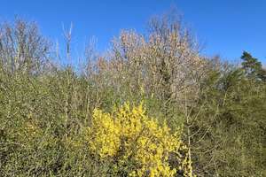 Property thumbnail 13