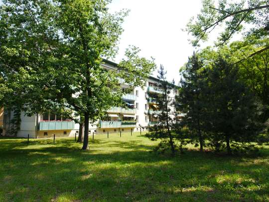 2-Zimmer Wohnung nahe Tierpark Berlin mit Südbalkon - Bild 22