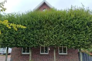 Gepflegtes Einfamilienhaus in Detern