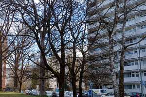Sonnige 1-Zimmer Wohnung im 12. OG mit Balkon in München-Solln – Die vollständige Adresse der Immobilie erhältst du vom Anbieter., 81477 Solln, München – Vorschaubild 9