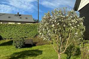 Einfamilienhaus in ruhiger Lage von Johanngeorgenstadt mit Werkstatt, Veranda, Garage und Carport – Erzgebirgskreis – Vorschaubild 31
