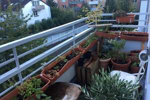 Schöne und helle Wohnung auf der Vaalser Straße zu vermieten – Vaalser Straße 129a, 52074 Westpark, Aachen – Vorschaubild 2