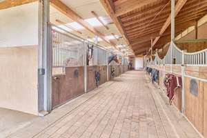 Reitanlage kaufen Bayern – mit gehobenem Wohnkomfort & umfassenden Trainingsbedingungen! – Die vollständige Adresse der Immobilie erhältst du vom Anbieter., 91477 Markt Bibart – Vorschaubild 12