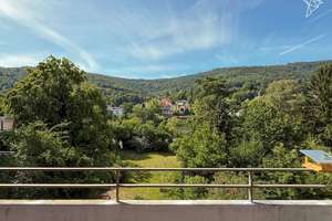 AUSSICHT, AMBIENTE, ANKOMMEN ☀️ 3-Zimmer-Wohnung mit Neckarblick in Ziegelhausen! – Die vollständige Adresse der Immobilie erhältst du vom Anbieter., 69118 Ziegelhausen, Heidelberg – Vorschaubild 9