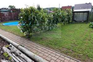 *Attraktives Einfamilienhaus mit Garten für die große Familie in ruhiger Lage und zentral!* – Rhinow, Havelland (Kreis), 14728 Havelland (Kreis) – Vorschaubild 16