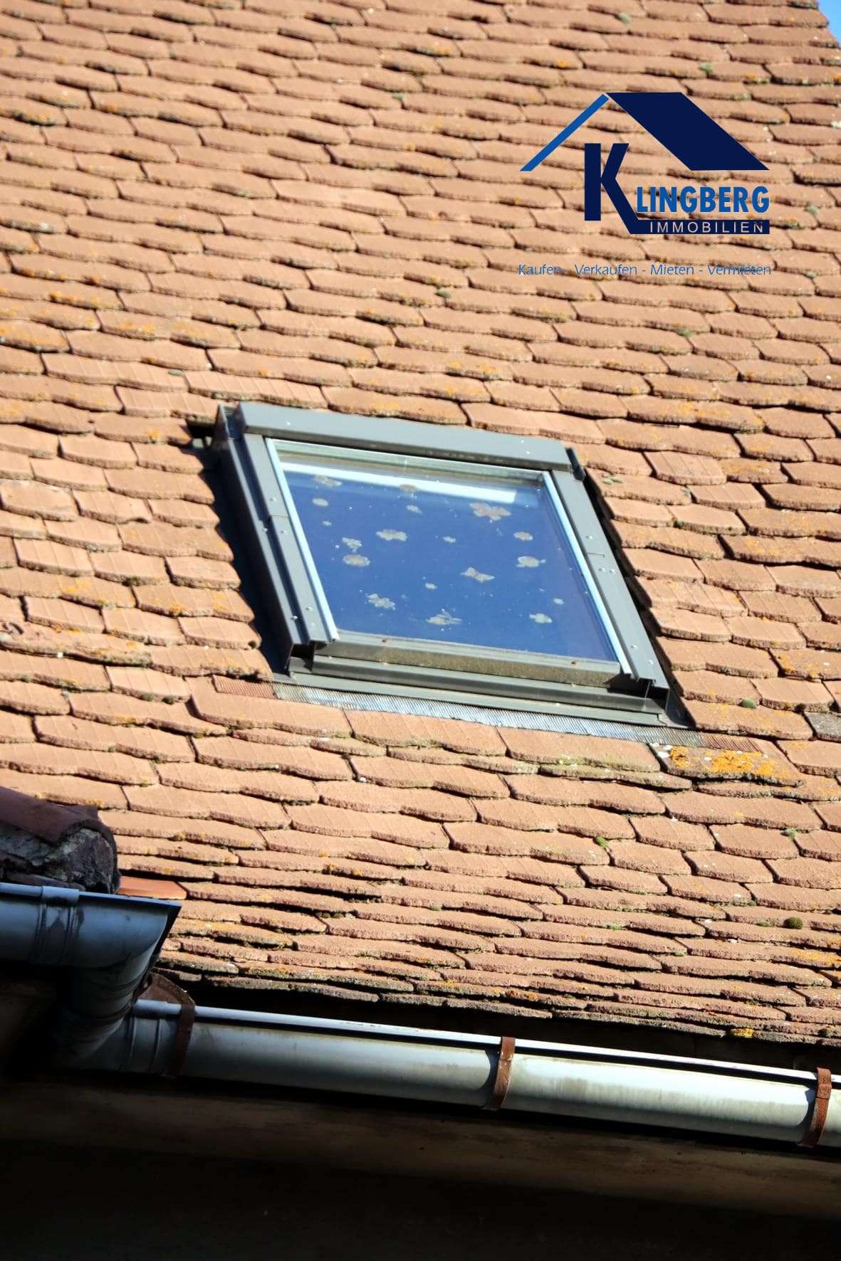 Einfamilienhaus mit Grundstück, separater Zufahrt rückseitig und Nebengebäude preiswert zu verkaufen, Burgenlandkreis – Bild 4