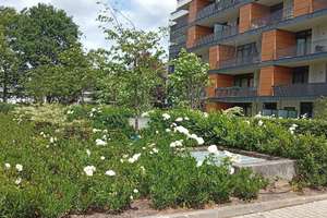 Neubauwohnung mit erstklassigem Energiestandard und Top-Anbindung – Burgunderstraße 38, 40549 Heerdt, Düsseldorf – Vorschaubild 10