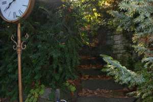 Property thumbnail 9