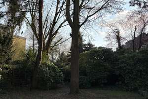 Property thumbnail 21