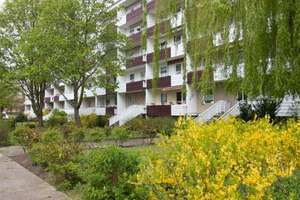 Dein neues Zuhause ab 01.11.2026? #richtig jut – Milchweg 39, 39128 Neustädter Feld, Magdeburg – Vorschaubild 4